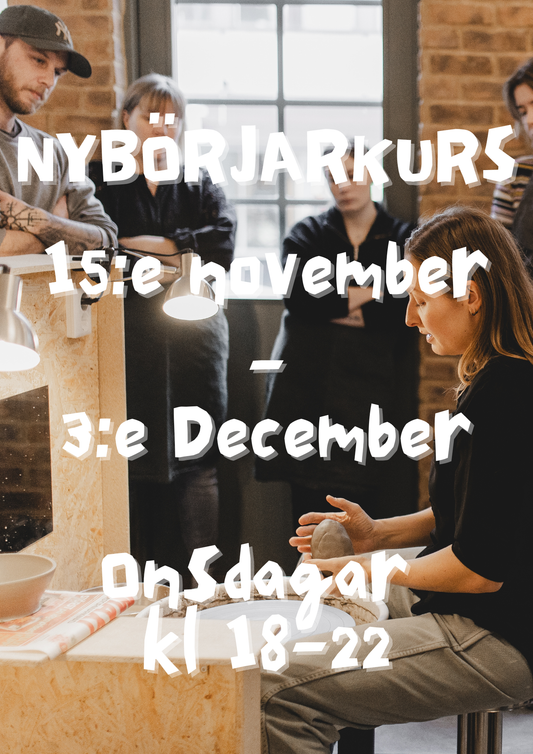Nybörjarkurs 12/11-3/12