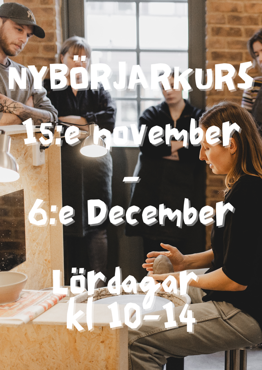 Nybörjarkurs Helg 15/11-6/12