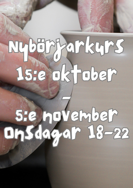 Nybörjarkurs 15/10-5/11